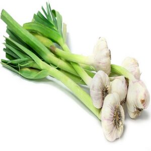 Hara Lahasun (Garlic Green) *250 gm*