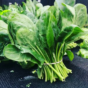 Paalak (Spinach) *500 gm*