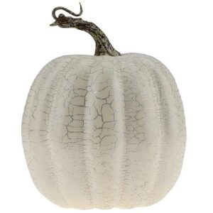 Kaddu Safed (Pumpkin White) *1 pc*