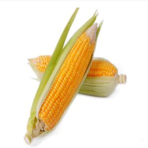 Bhutta (American Corn) *500 gm*