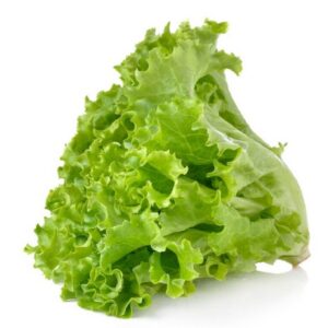 Lettuce (Salad Patta) *1 pc*
