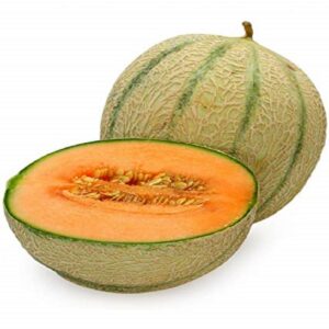 Musk Melon (Kharbuja) *medium*
