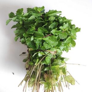 Pudina (Mint Leaves) *100 gm*